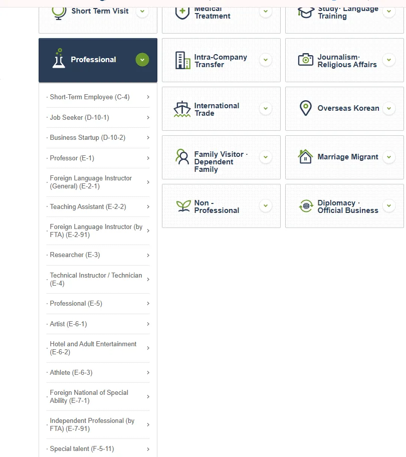 The Professional category expanded, listing Short-Term Employee C-4 alongside Job Seeker, Professor, Researcher, Technical Instructor and the other E-series statuses